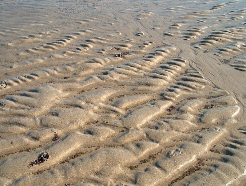 Beach Stroll